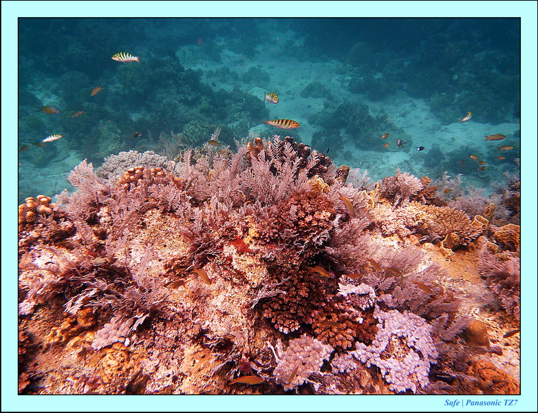 2012 - 07 - Palinton Sanctuary 20